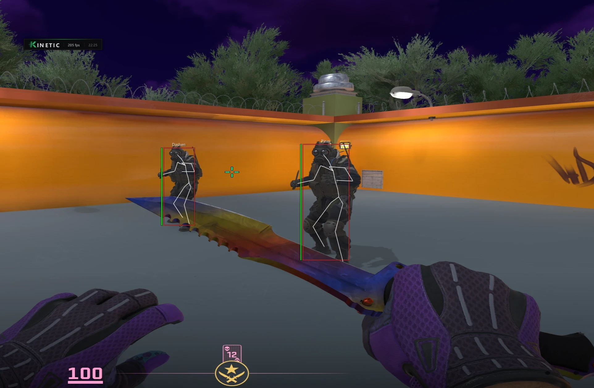 Box ESP with names, health bars and skeletons on two bots.